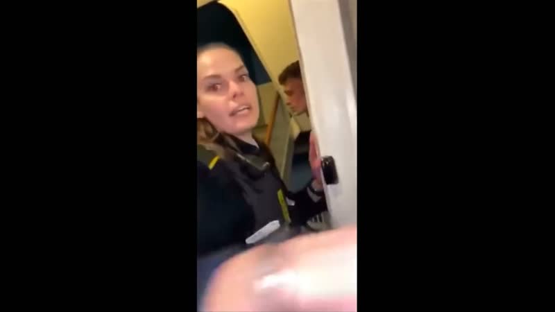 Ночные нарушители