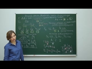 Биология генетика второй закон менделя закон чистоты гамет центр онлайн обучения «фоксфорд»