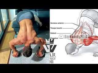 Домашняя тренироа для наращивания мышечной массы (без оборудования)