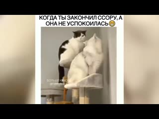 Когда поссорился с девушкой