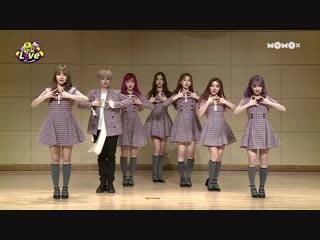 Gwsn @ momo x "don't be late live" 181119