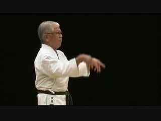 Koshin iha of the jundokan performing kata tensho for the jkf goju kai