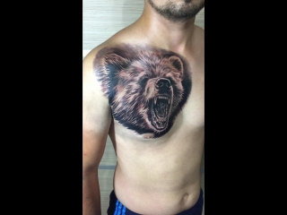 Bear 🐻 🔥@#tattooartist #ink scandinavia #stockholm #killerinktattoo #tattoo#cheyenne #cheyenneprofessionaltattooequ