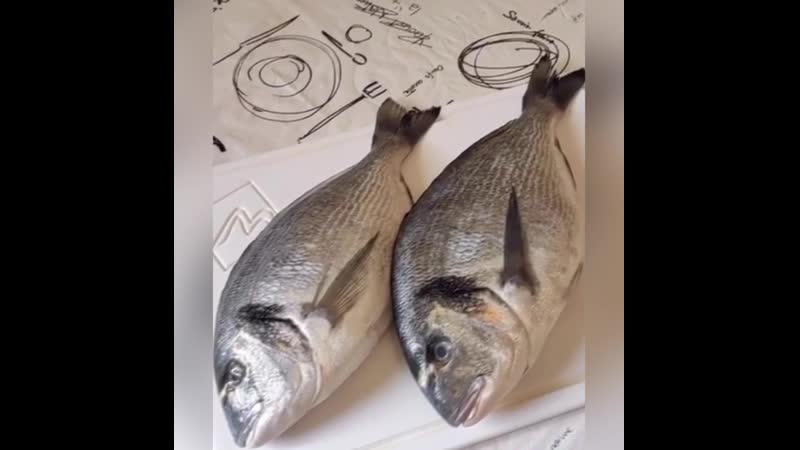 Муж вернулся с рыбалки 😂