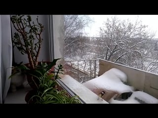 Vid 20171221 133712 mp4