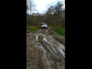 Видео от олеси павличенко