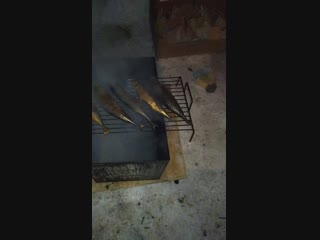 Vid 20190211 190004 mp4