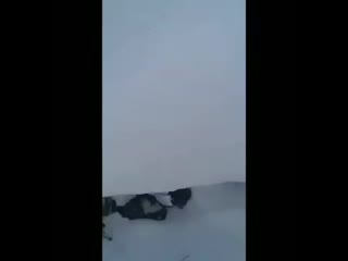 Видео от александра каменюка