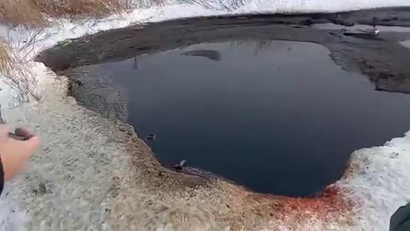 В омской области нашли озеро из крови