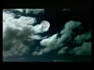 Lifelike and kris menace discopolis top100 sexy