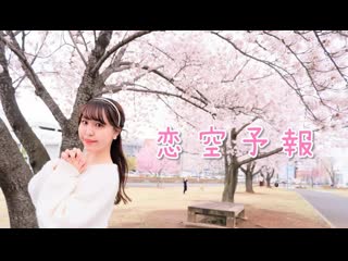 【ぴぎー】恋空予報 踊ってみた【桜の下で】 niconico video sm40314383