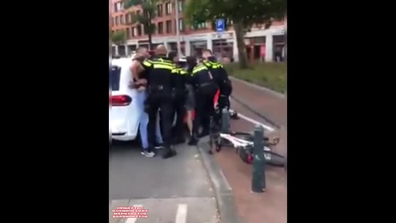 Мирных porn video – Гейопские эцилоппы проводят жёсткое задержание мирных гейопских граждан их нравы