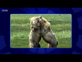 Only connect 16x24 severns v apres skiers