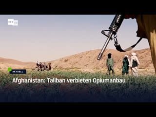 Afghanistan taliban verbieten opiumanbau