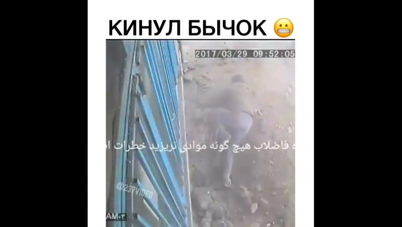 Кинул бычок