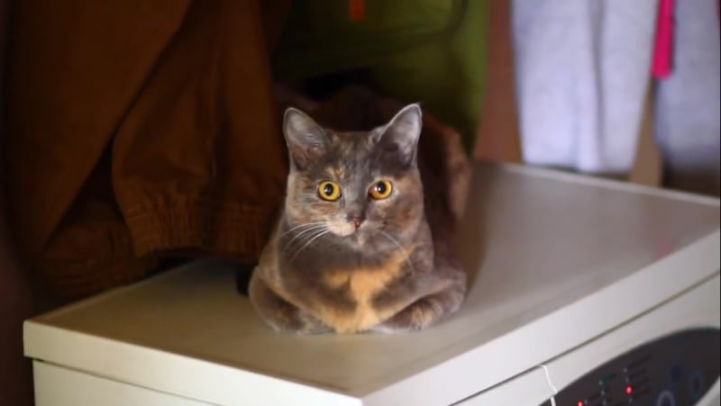 Когда едешь в ниве