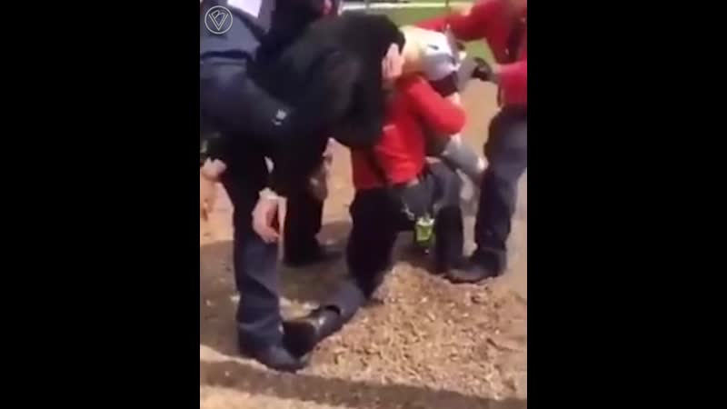 Забытую и выросшую девочку на качелях, пожарные выпустили во взрослую жизнь