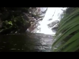 Waterfall mahe seychelles