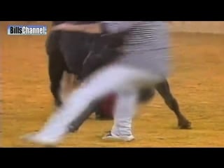 Crazy funny bullfight bloopers