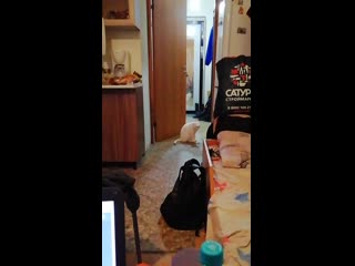 Vid 20191128 101532 mp4