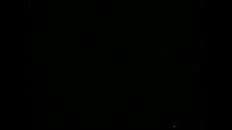 Тёрнер и хуч turner and hooch (1989) vhsrip перевод вартан дохалов