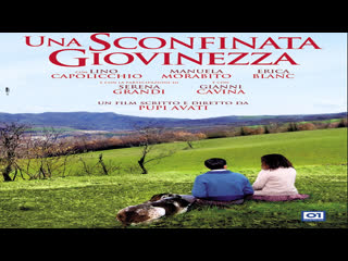 Una sconfinata giovinezza (2010)