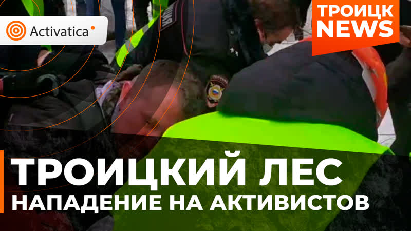 В троицком лесу нападают на активистов и журналистов
