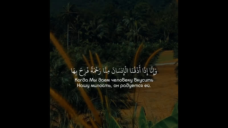 Чтец naseer al qatami surat « 42 ash shura »