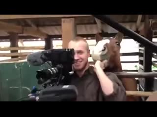 Filming while horse nibbles