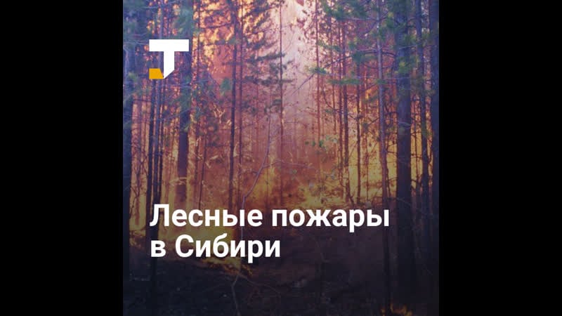 Лесные пожары в сибири