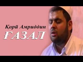 Кори амриддин газал webm