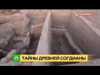 Таджикский пенджикент преподнес сенсацию археологам из эрмитажа (1)