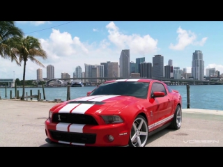 Ford mustang shelby gt500
