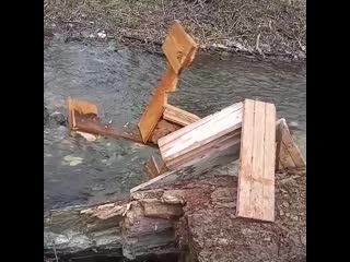 Видео от люстра чижевского