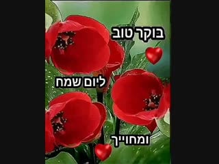 Boker tov video 2019 01 24 10 31 47