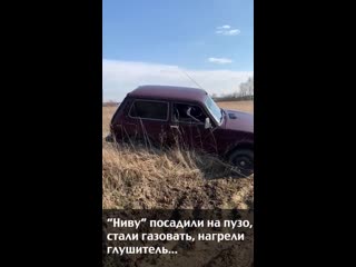 Нива на бездорожье просто огонь!