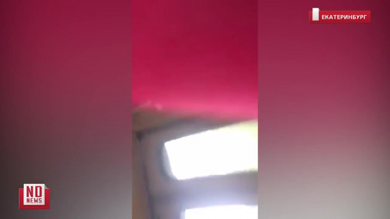 Молодые хамка спровоцировала конфликт в трамвае