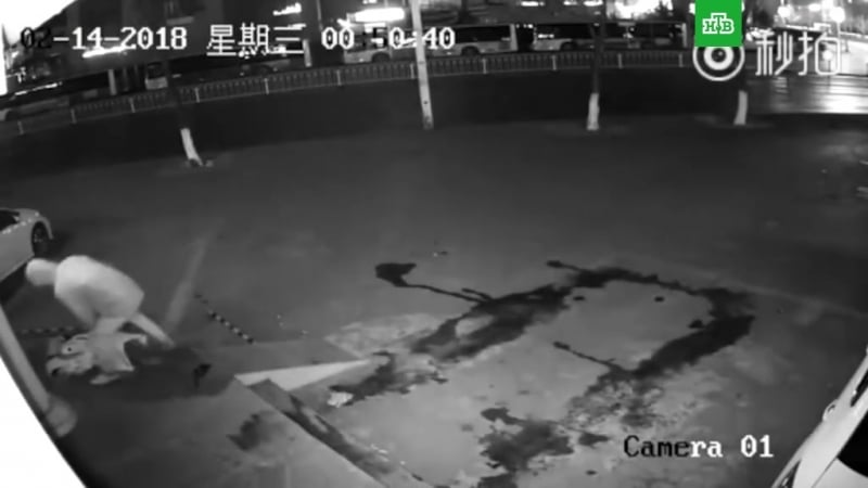 Мгновенная карма для китайских хулиганов