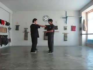 Arm wing tsun 2008 chi sao, part 1 sifu hovhannes mushegyan 18 years