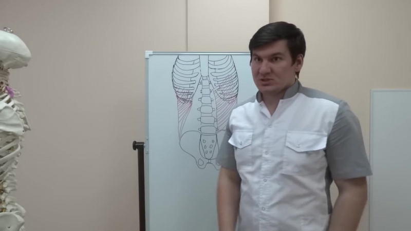 Sls косые мышцы молодые как тренировать и растягивать