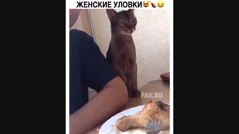 Женские улои