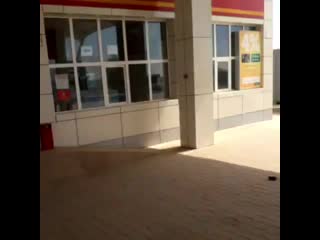 Kris p brothers official+instautility 863d2 mp4