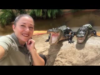 Woman shoves her head in an alligator's mouth during competition