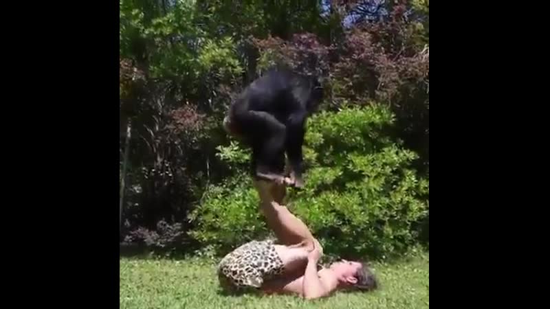Тарзан и его личные тренеры 🐵🐒🐵