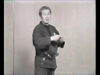 Masaaki hatsumi togakure ryu ninpo taijutsu