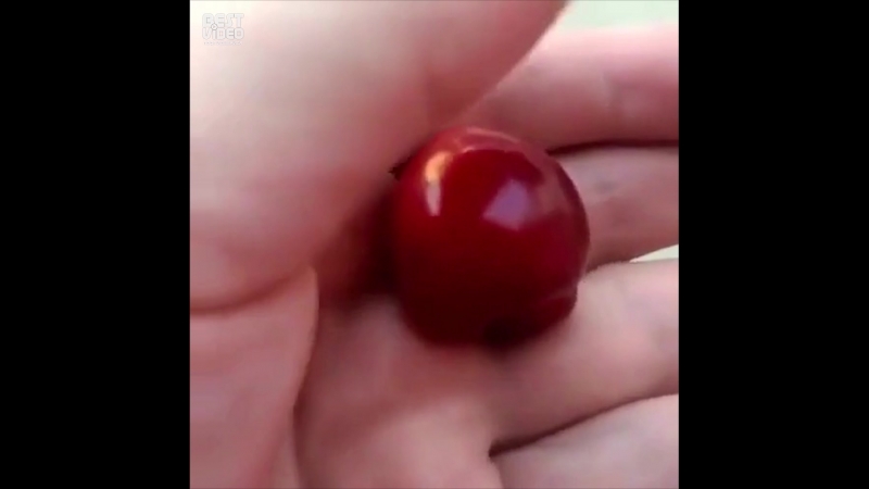 Брутальная черешня