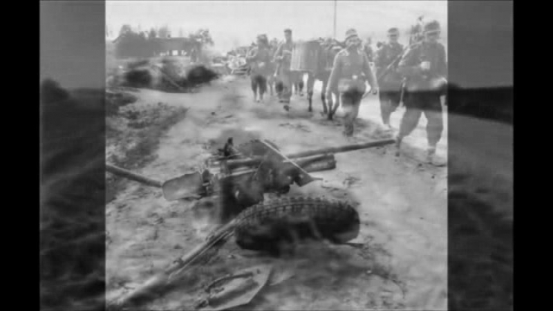 Ленинградская прохороа молосковицкое танковое сражение 1941 г [tfile co]