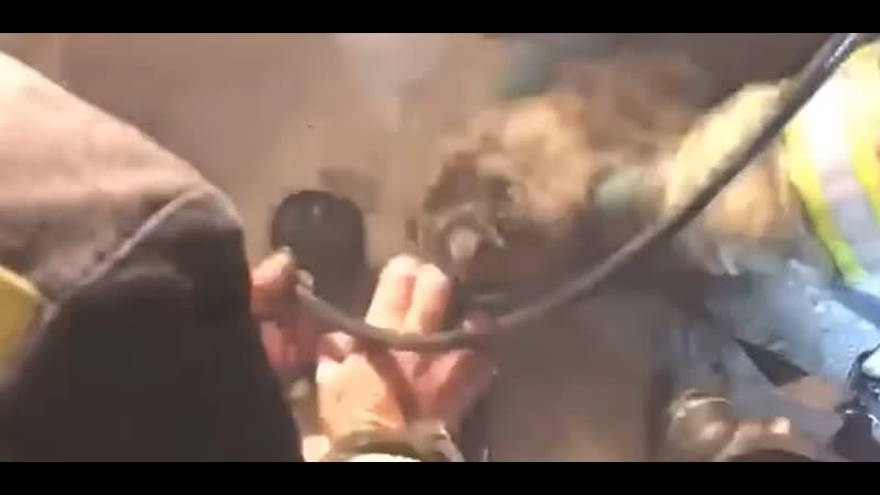 Волгоградские пожарные откачали котёнка