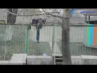 Дядь, чего кричишь