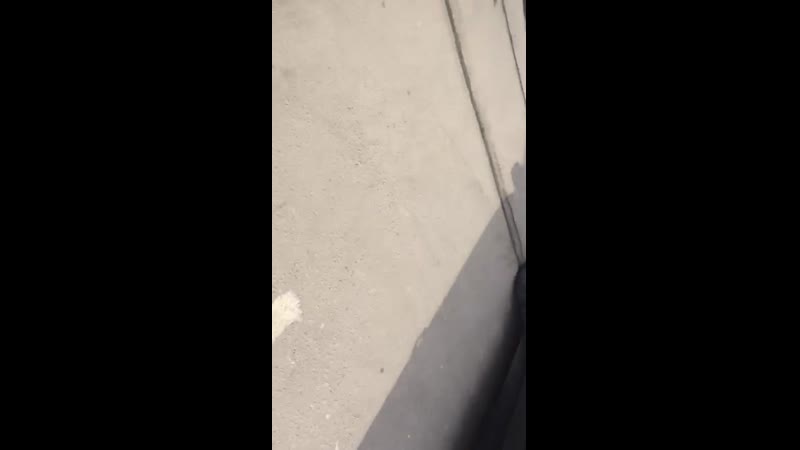 Собр жёстко работает задержание банды оперативная съёмка 2